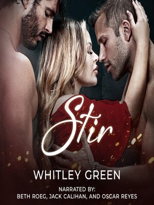 cover image of Stir